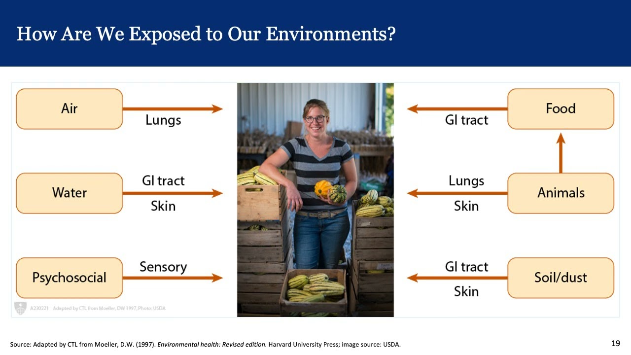 Overview: Chemical, Physical, and Biological Exposures