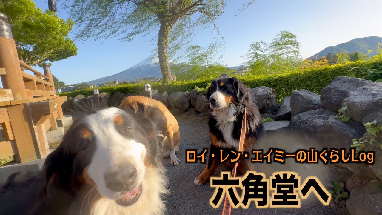河口湖の水位が下がり陸続きの六角堂へ【山ぐらしログ】