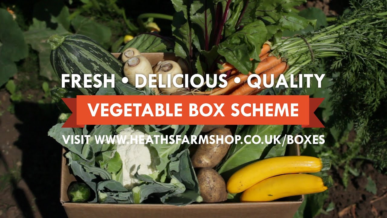 Vegetable Box Scheme - Fresh Delicious Quality