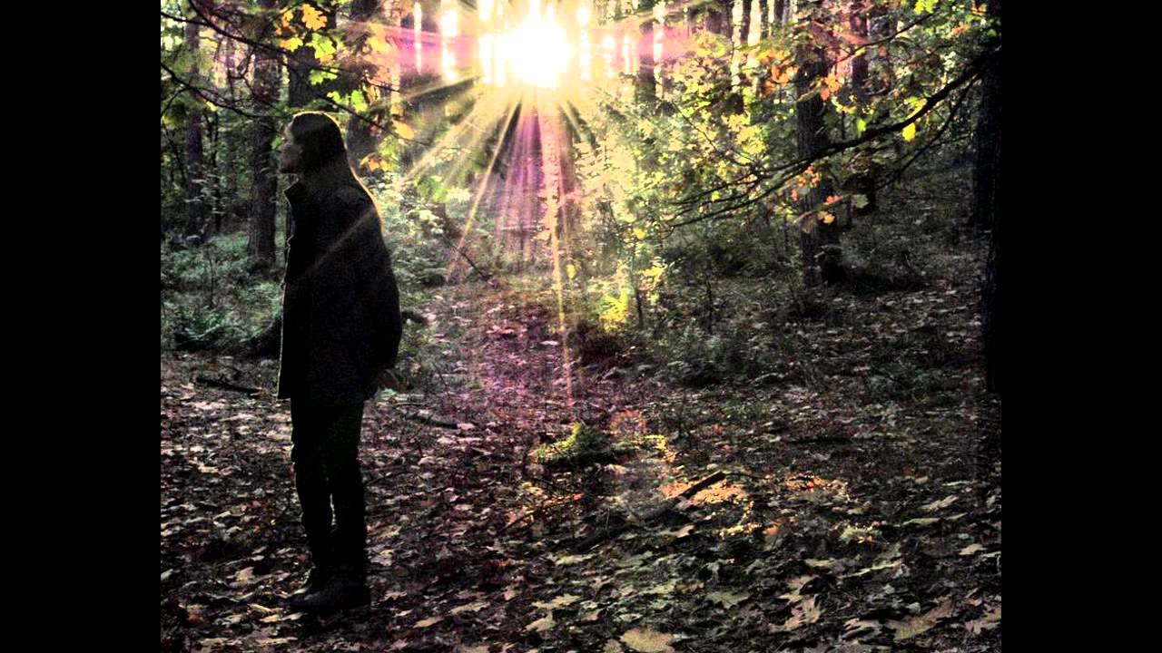 Versilium - Roots Of The Earth Within My Blood