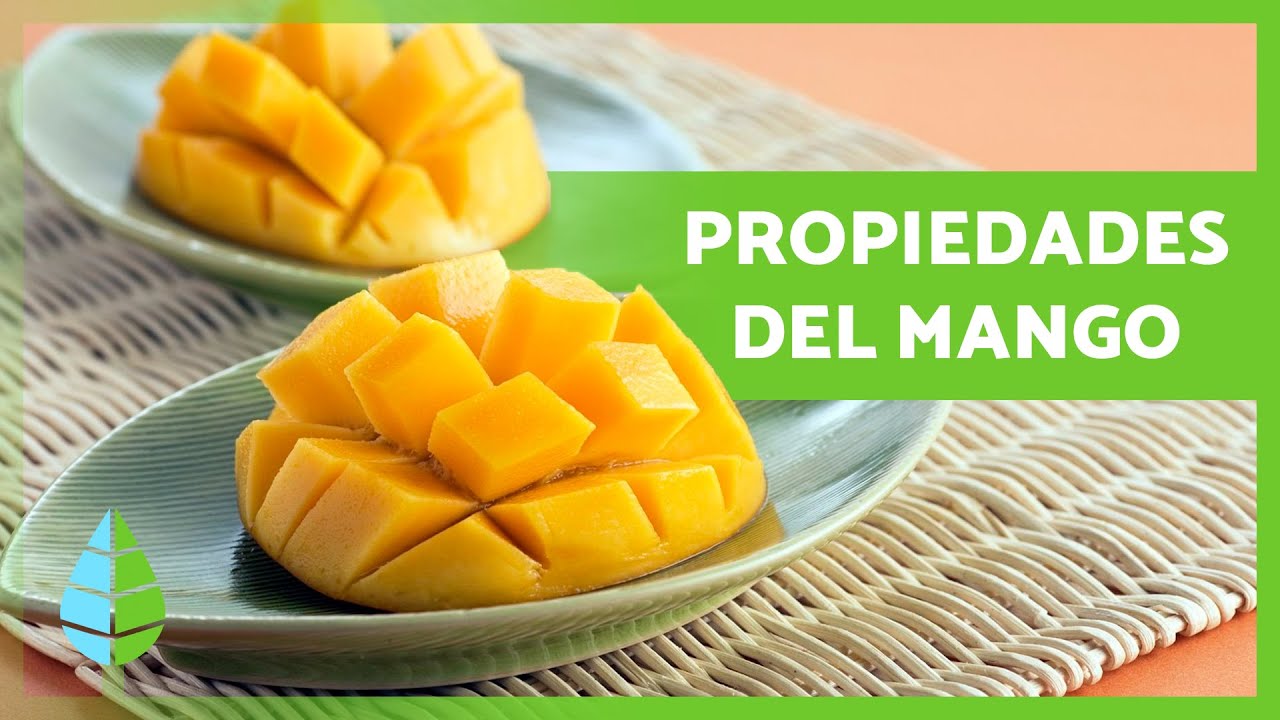 BENEFICIOS del MANGO para la SALUD 🥭✅ (Propiedades Medicinales y Para Qué Sirve)