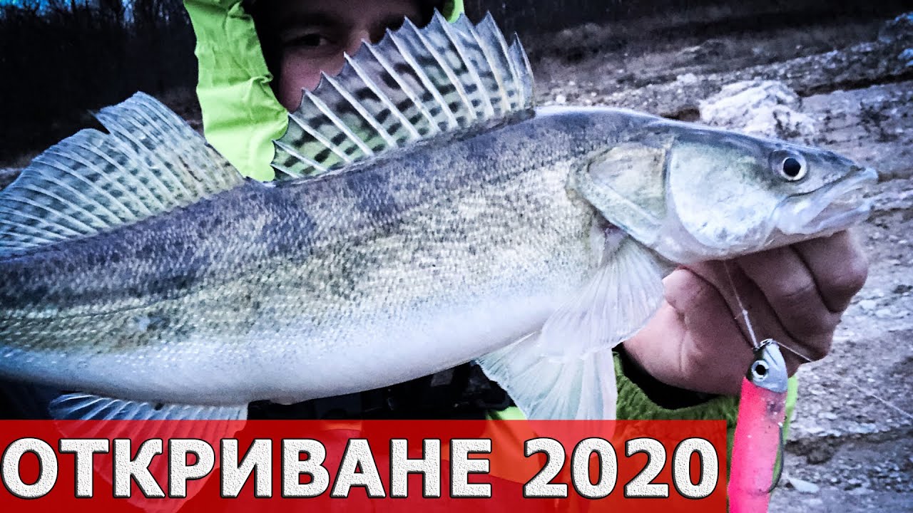 Брутален вятър. Риболов на язовир Жребчево и река Тунджа. Откриване за 2020