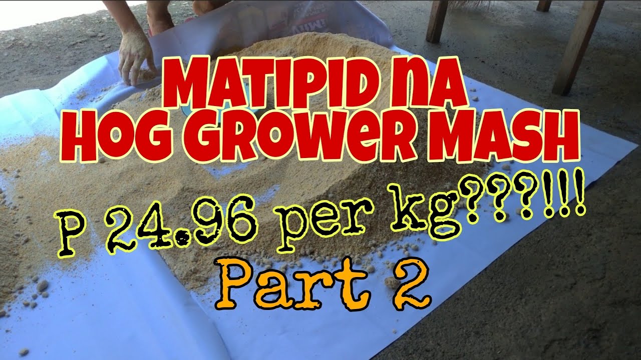 Matipid na Hog Grower Mash for only 24.96 per kg? | Possible ba?