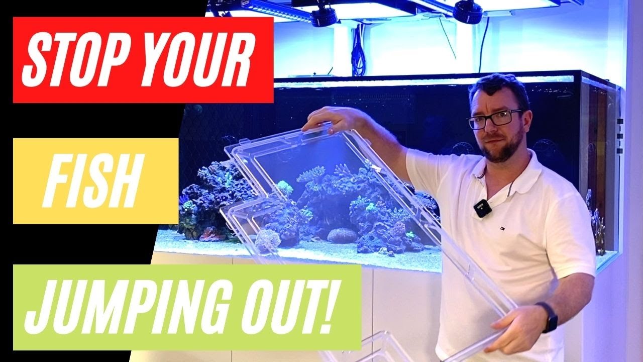 Aquarium Polycarbonate Jump Guard