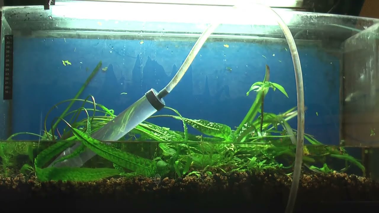 How to Startup Restart Aquarium