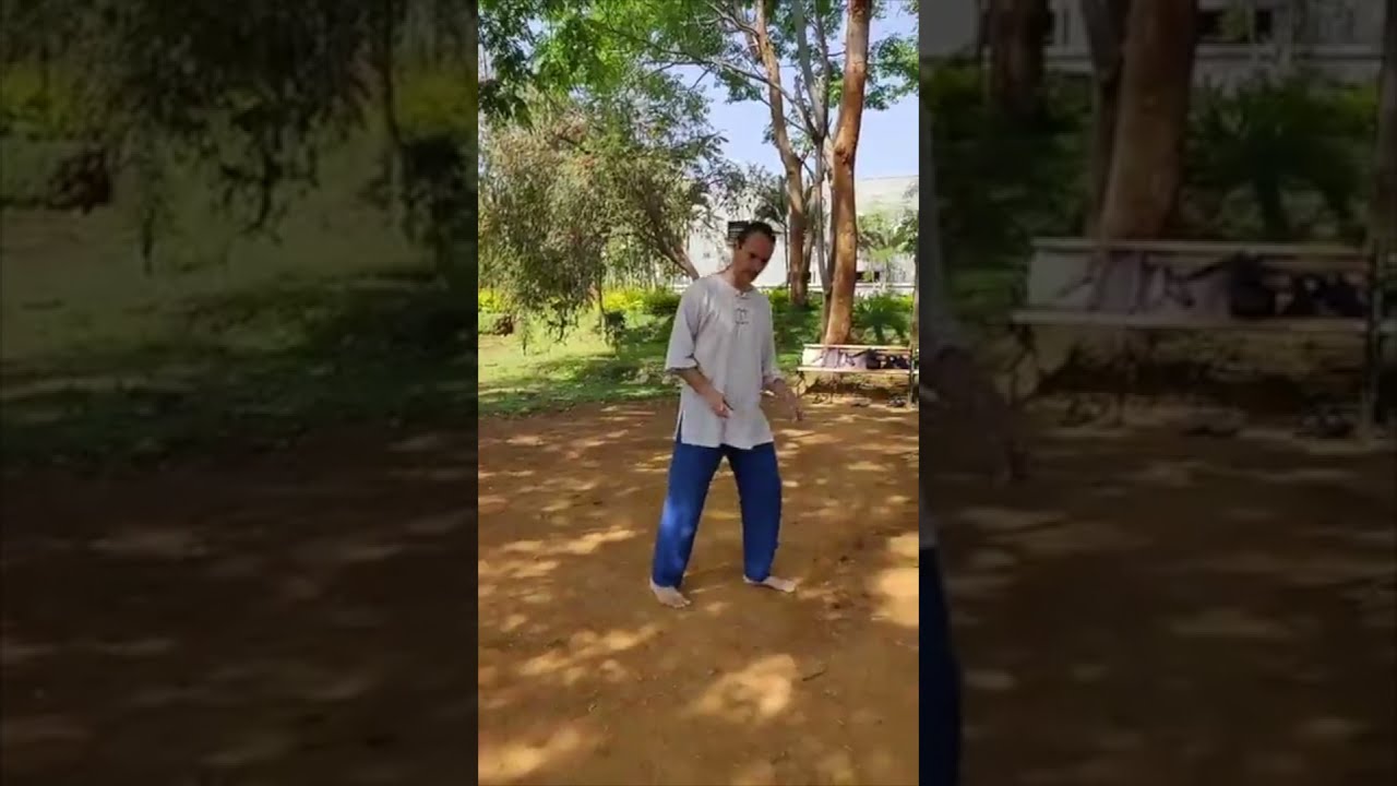 Taiji Quan Walking on One Level - Christoph Eberhard