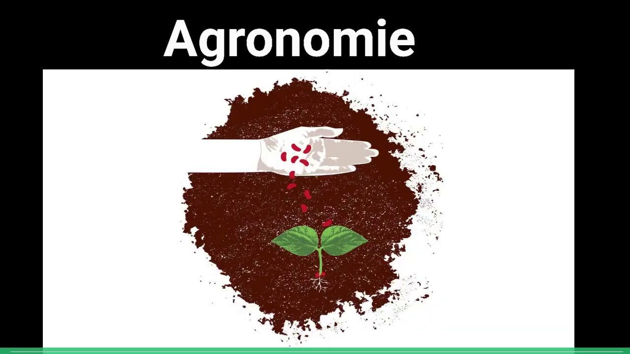 Savoir differencier les concepts Agronomie, Agronome, Agriculture, Agriculteur et Syst&egrave;me de Culture