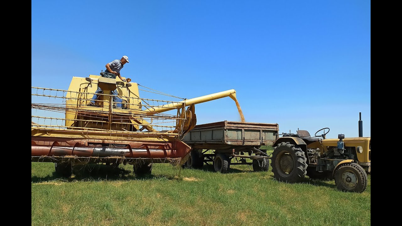 🔥 ŻNIWA 2025 🚜 KOSZENIE JĘCZMIENIA 💥 OPOROWA ROBOTA GR LEWY 🔥 PIERWSI W GMINIE