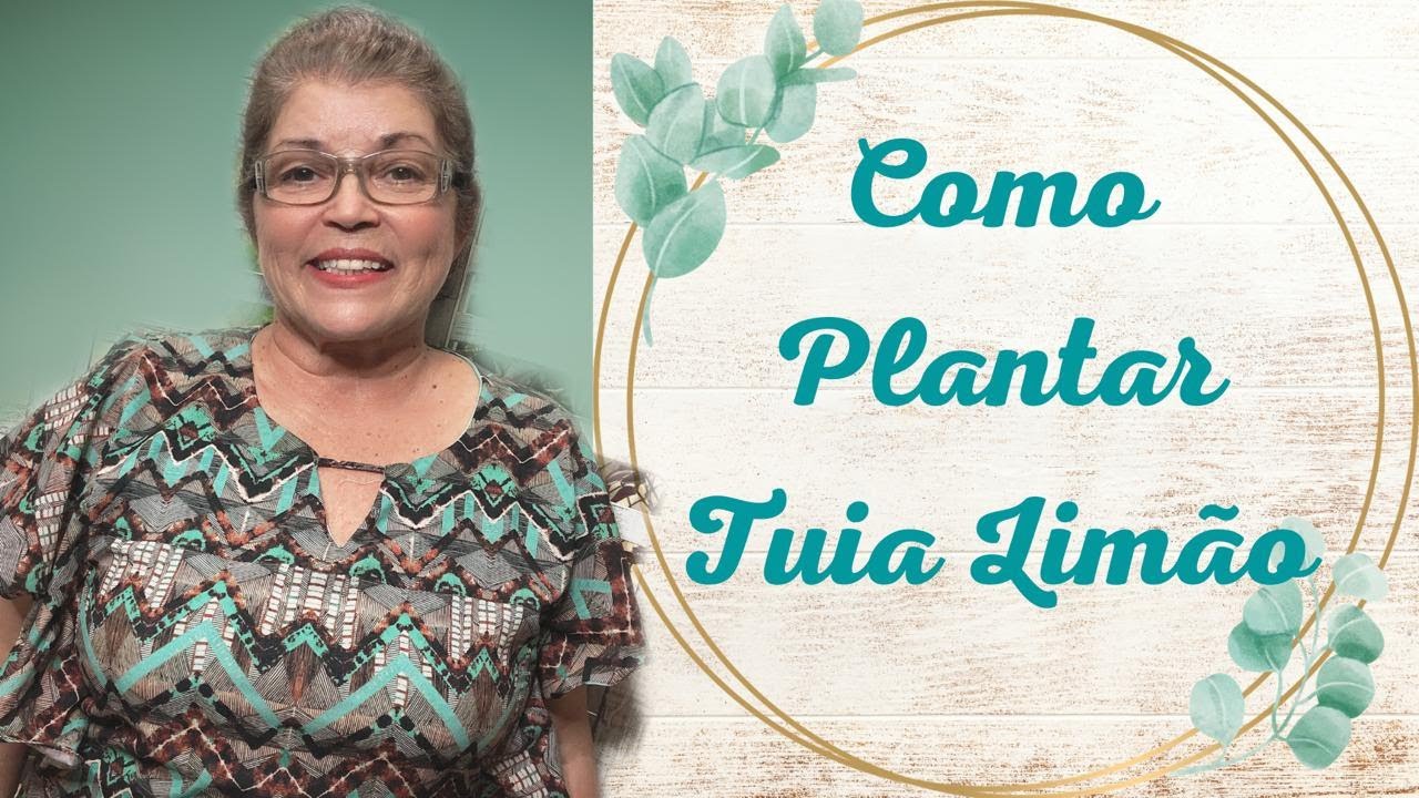 TUIA LIM&Atilde;O: COMO FAZER O PLANTIO! 🍋@mazejardinagem3741
