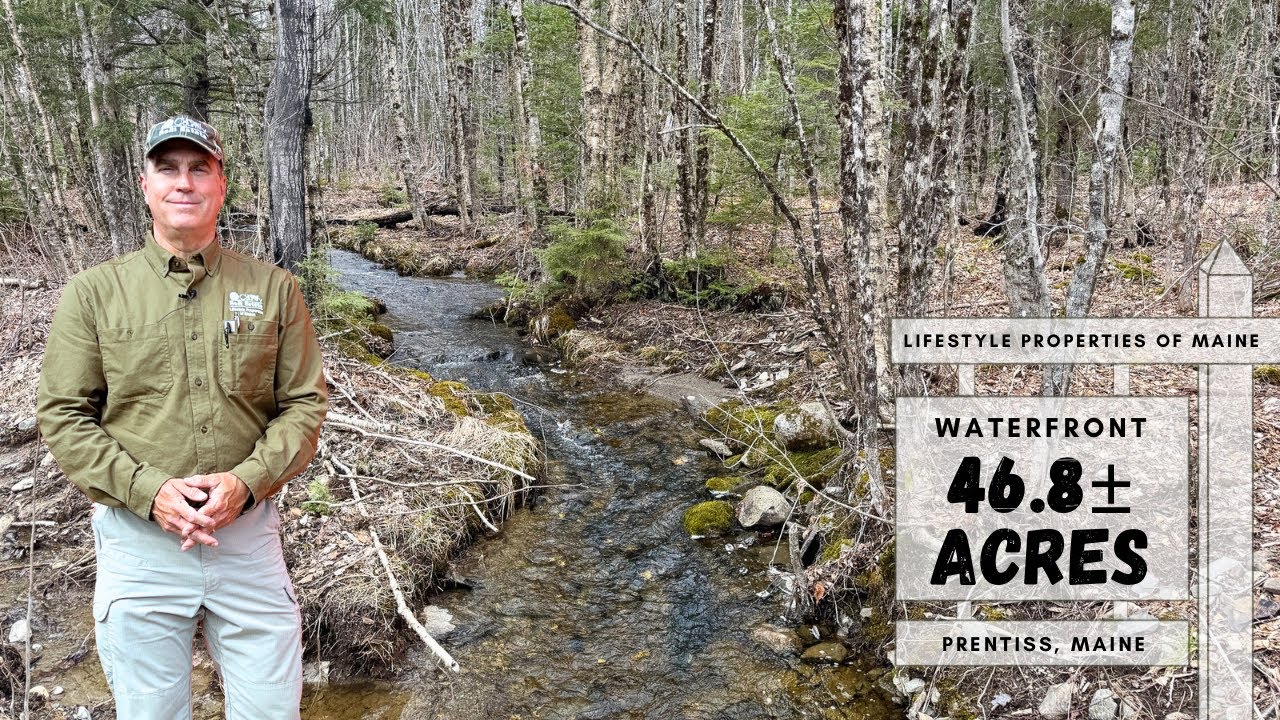 SOLD 46.8 acres With Brook & Pond Just $65,000 | Maine Real Estate