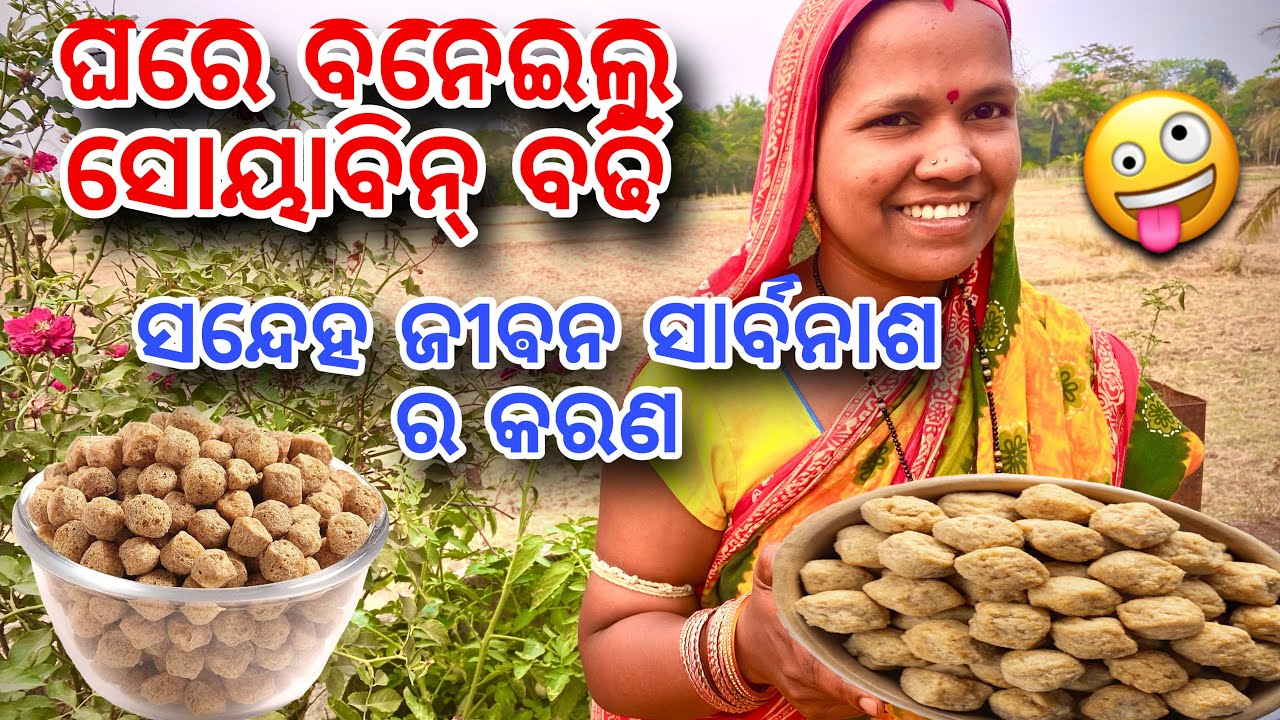 ଘରେ ବନେଇଲୁ ସୋୟାବିନ୍ ବଢି 😳😋 ମାଉସ ବଢି // soyabin Badhi recipe 