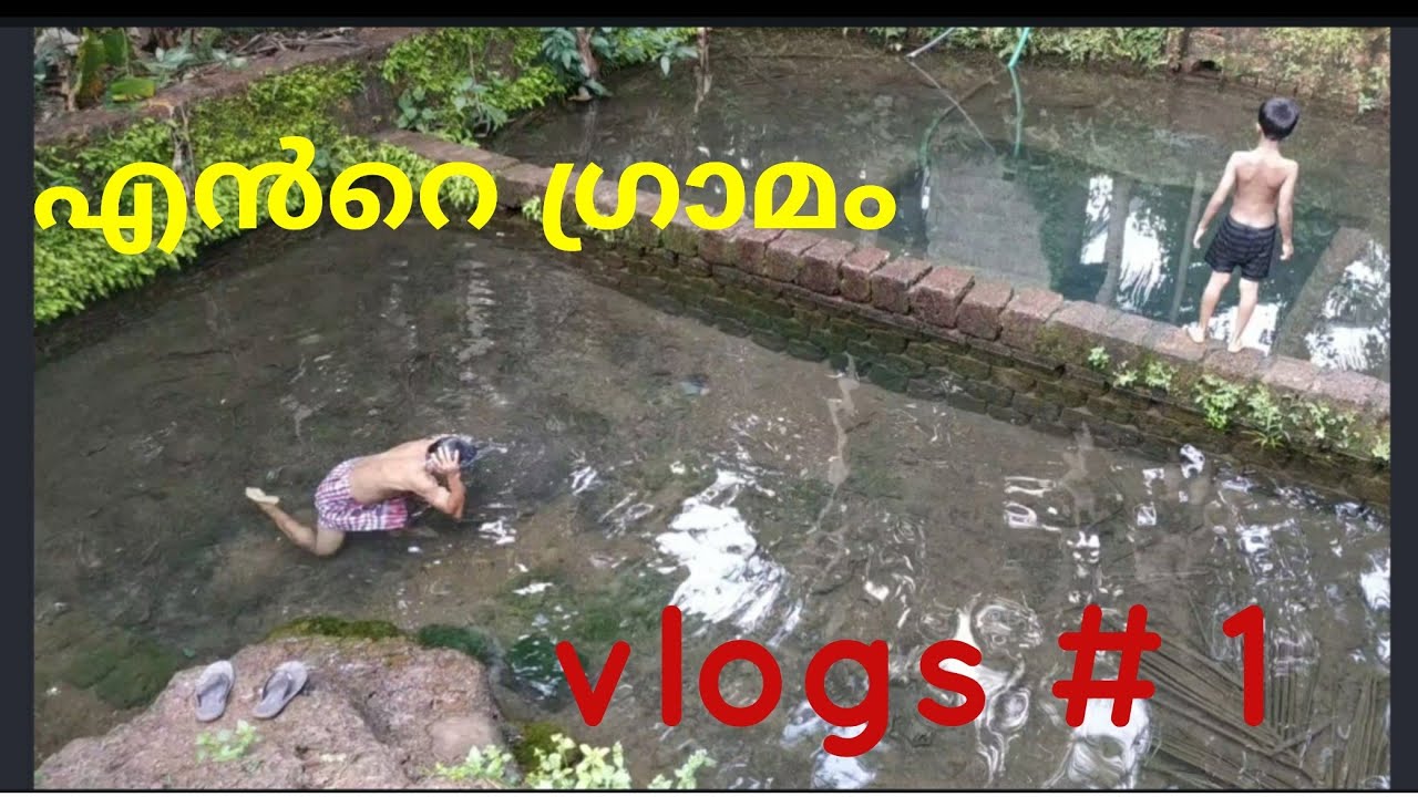A trip to my village alloor എൻറെ ഗ്രാമം useful tips malayalam