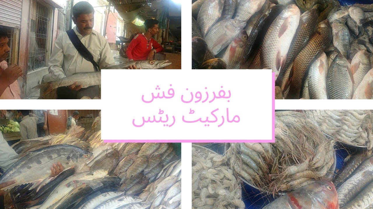 Bufferzone Fish 🐟 Market |Cheapest Prices | @travelandfood1386