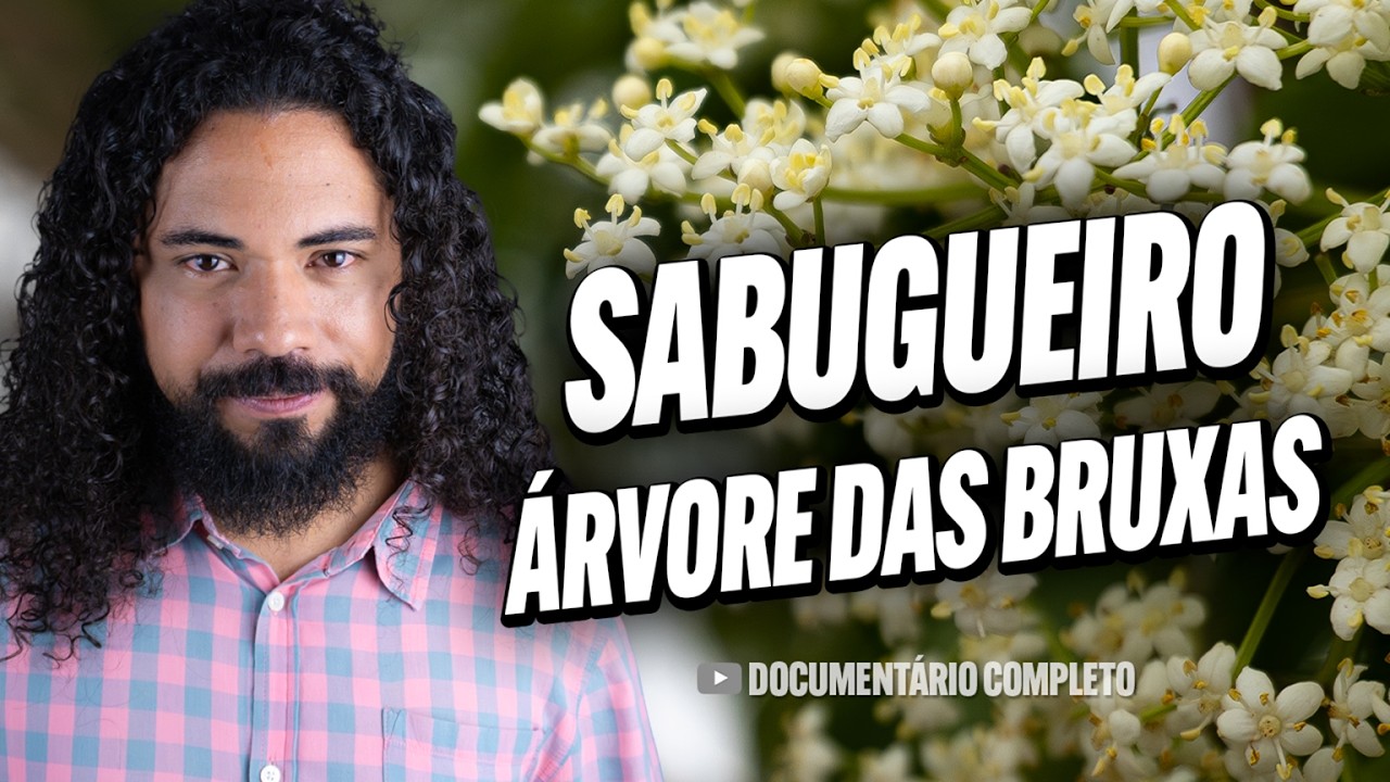 SABUGUEIRO - Documentário completo - Guia da Floresta