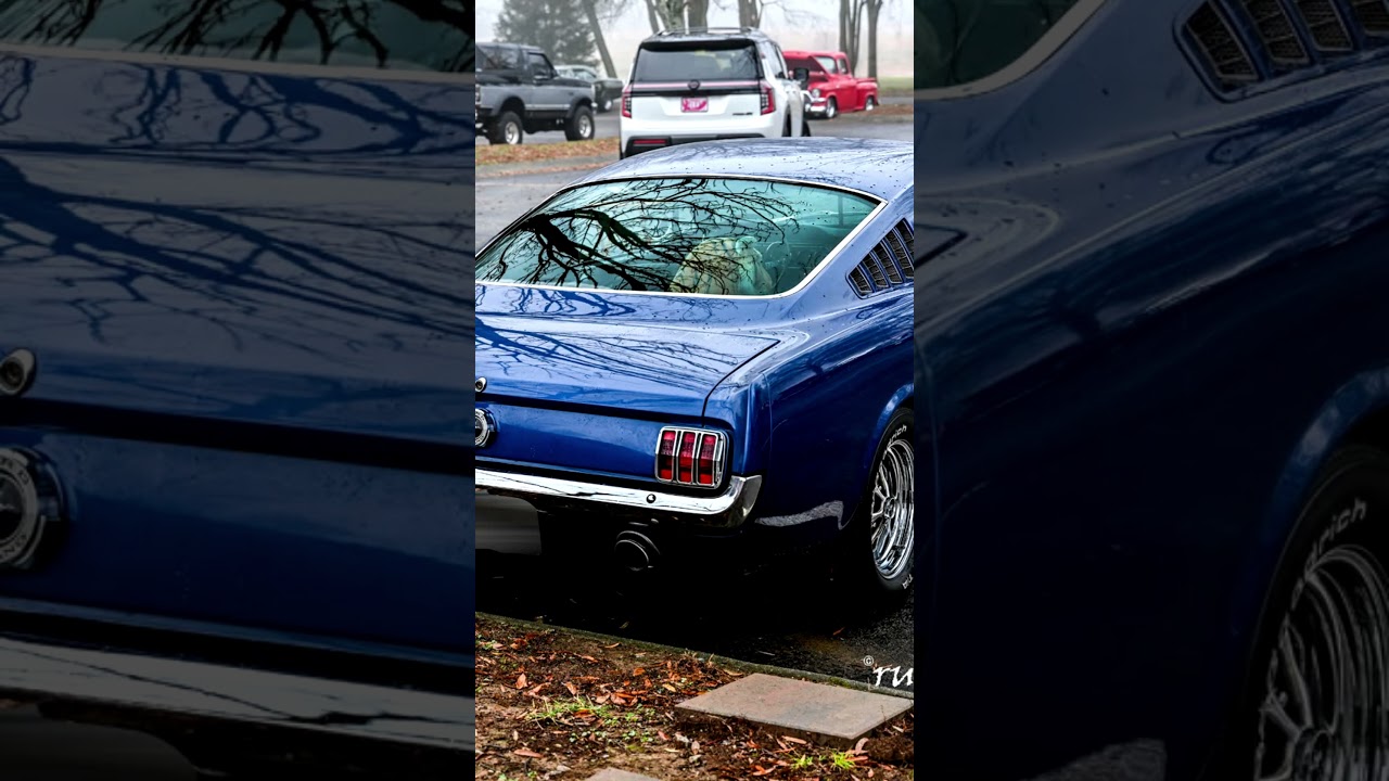 1965 Ford Mustang 2+2#viralreels,#classiccar,#sportscar,#reels,#classic,#sportsvehicle,#shorts