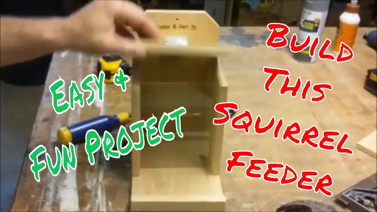 How To Build A Squirrel Feeder Lift Top Squirrel Feeder