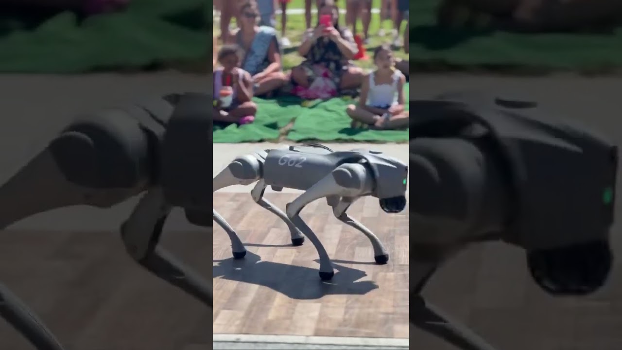 Robot Dog dancing in our show !