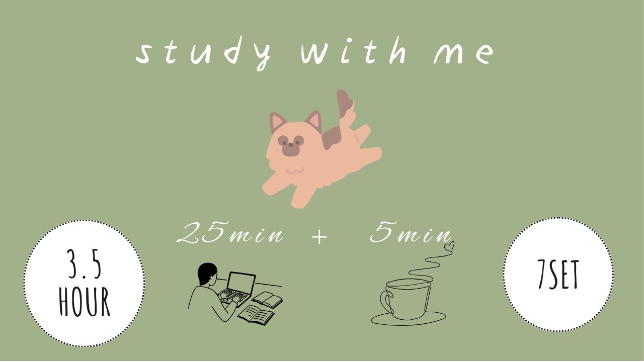 Lo-fi Pomodoro Timer 25/5 ×7set(3.5h)｜with dog🐶 | focus with me｜作業用・勉強用BGM