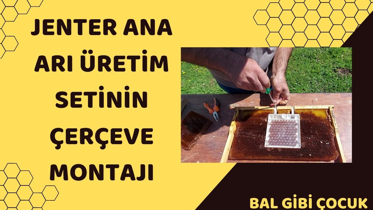 JENTER ANA ARI ÜRETİM SETİNİN ÇERÇEVEYE MONTAJI