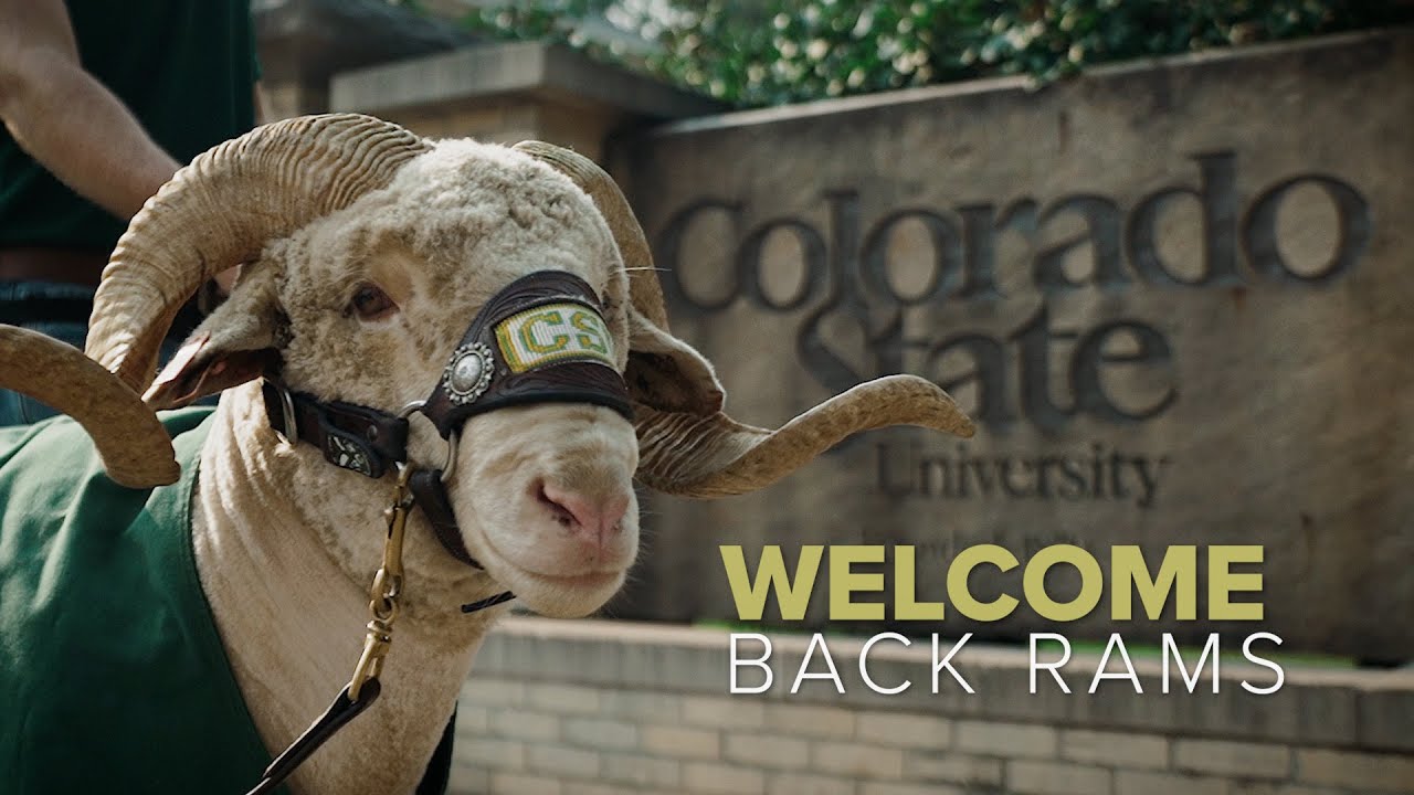 Welcome Back to Colorado State University 🐏