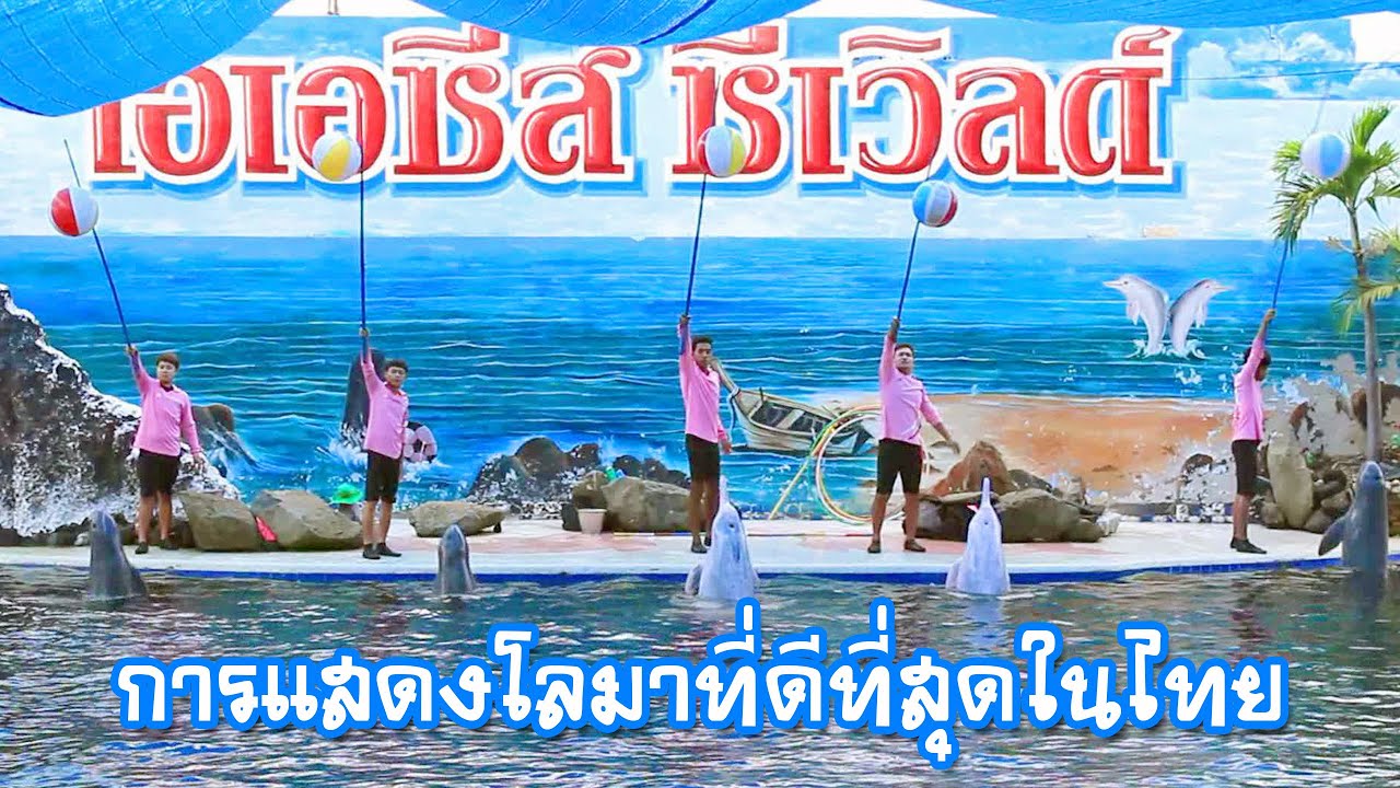 พาเที่ยวชมโอเอซิส ซีเวิลด์ จันทบุรี การแสดงโลมา 2 สายพันธุ์ไทย Chanthaburi in Thailand