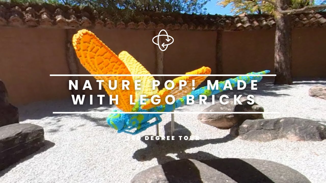 Tucson Botanical Gardens Presents Sean Kenney’s Nature POP! - 360 Degree Tour