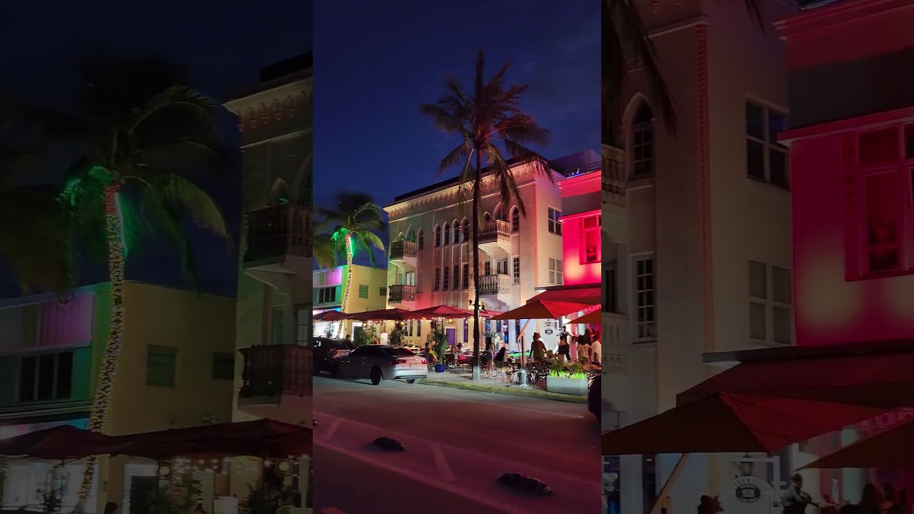 Experience the vibrant nightlife of Miami Beach's dining scene!