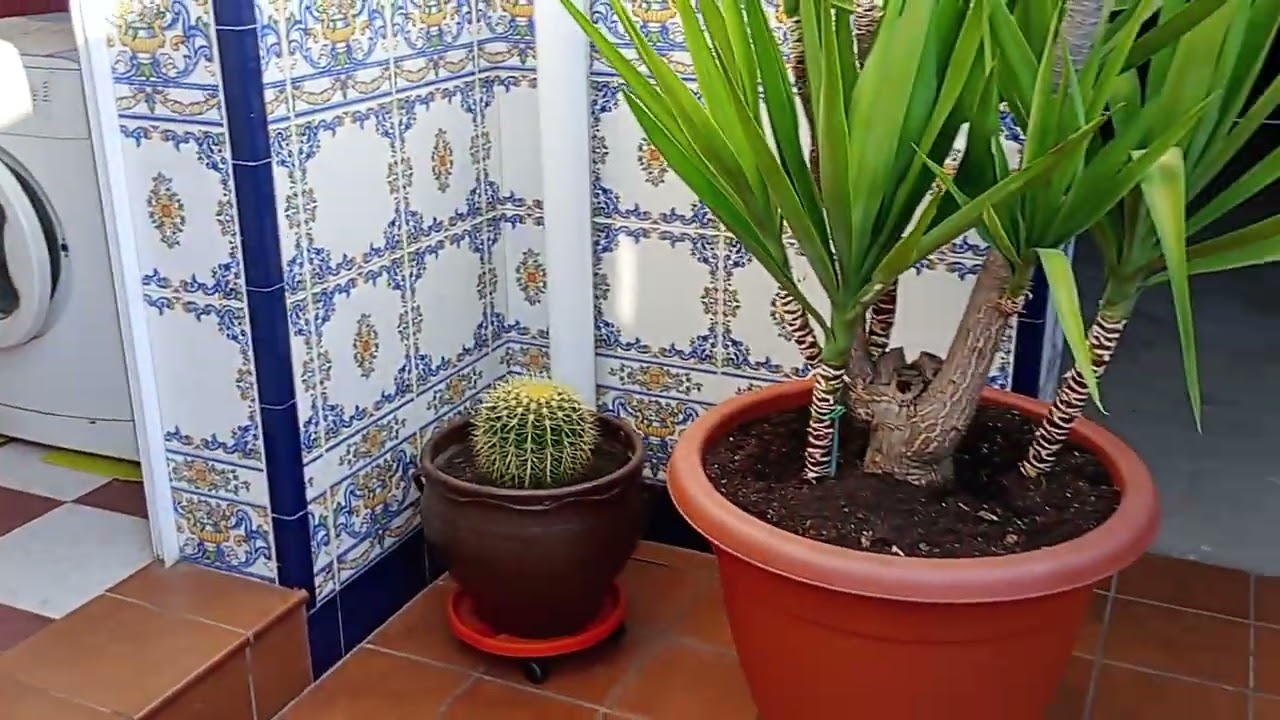 MAGNIFICA CASA EN SAN BARTOLOMÉ DE LA TORRE