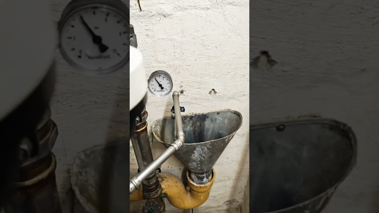 Judo Filter cleaning #plumbing #shorts #satisfying