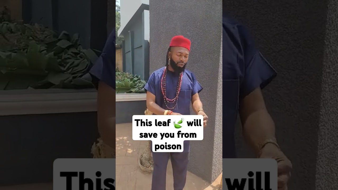 This leaf 🍃 will save you from poison. #duet #igbos #igboamaka #gospelsong