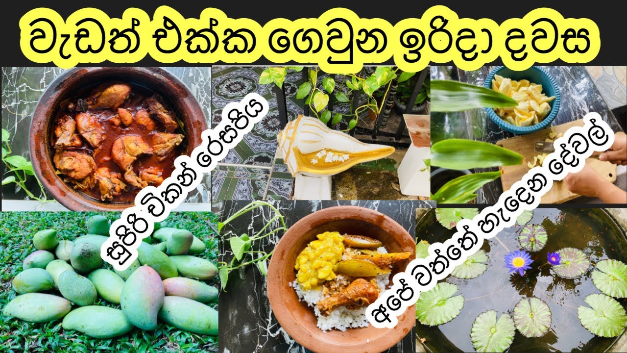 ගමේ කෙල්ලෙක්ගේ ඉරිදා දවසක්| My sunday day vlog #vlogger #adayinmylife #mydiary #chickenrecipe