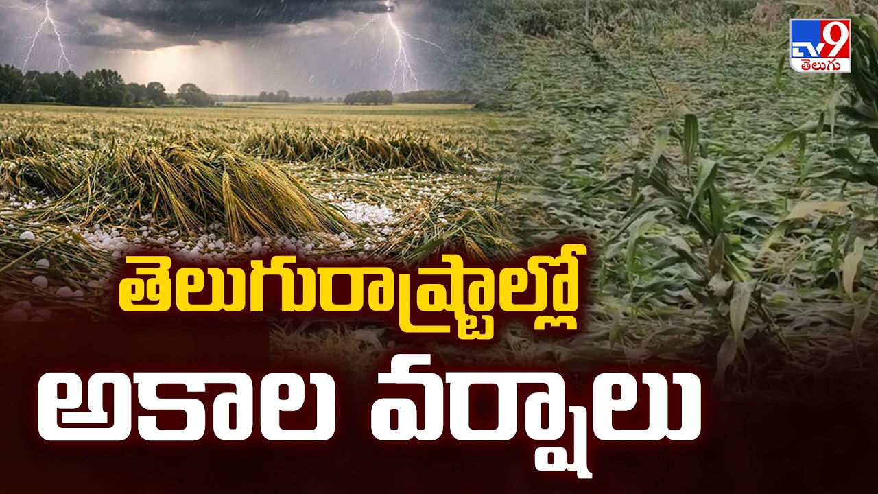 Unseasonal Rains Lash Andhra Pradesh and Telangana: IMD Issues Yellow Alert | TV9 Telugu