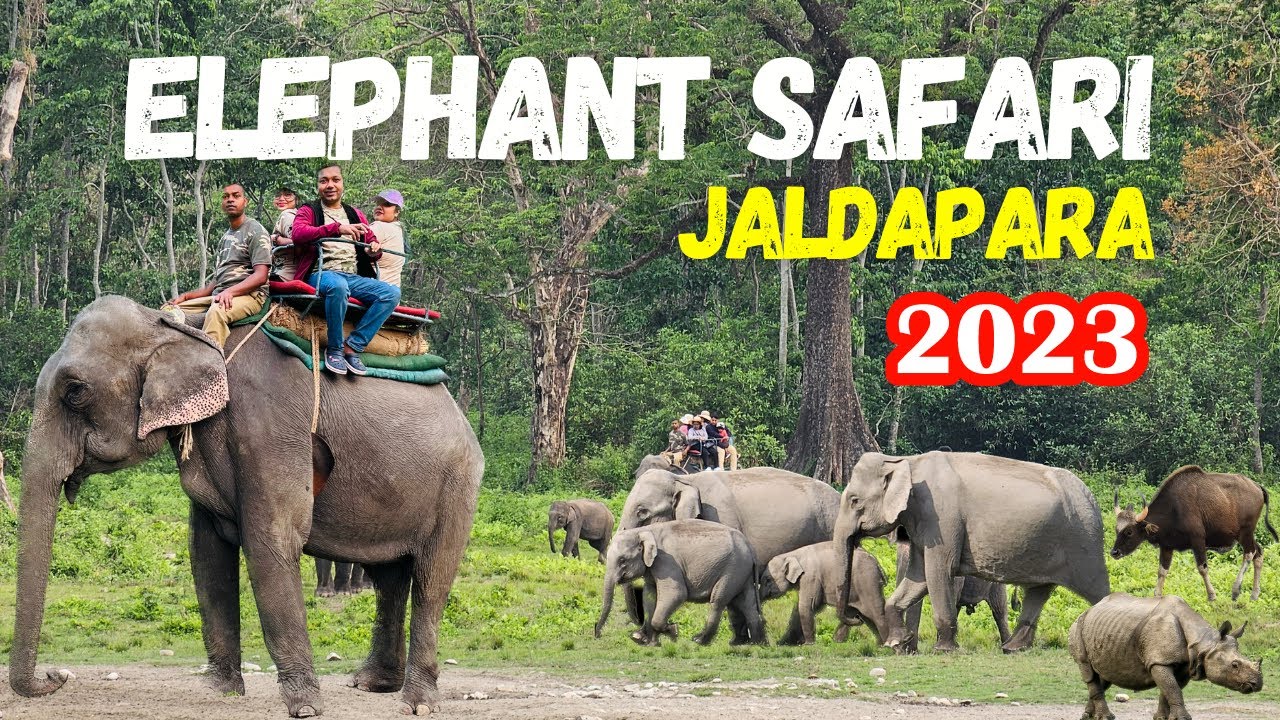 Jaldapara Elephant Safari | জলদাপাড়া হাতি সাফারি | Elephant Safari | Dooars Elephant Safari 2023