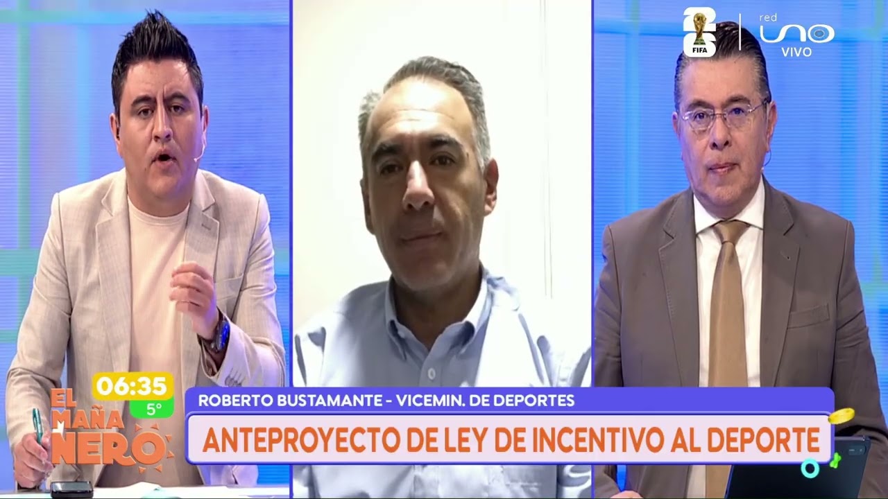 ANÁLISIS DE LA LEY DEL INCENTIVO AL DEPORTE