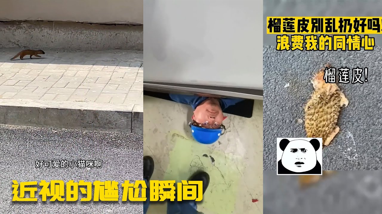 全网近视党速来认领！5米外雌雄难辨，10米外六亲不认…人畜不分是常态！这些尴尬操作你中了几条？#搞笑  #funny #douyin #解压 #熱門