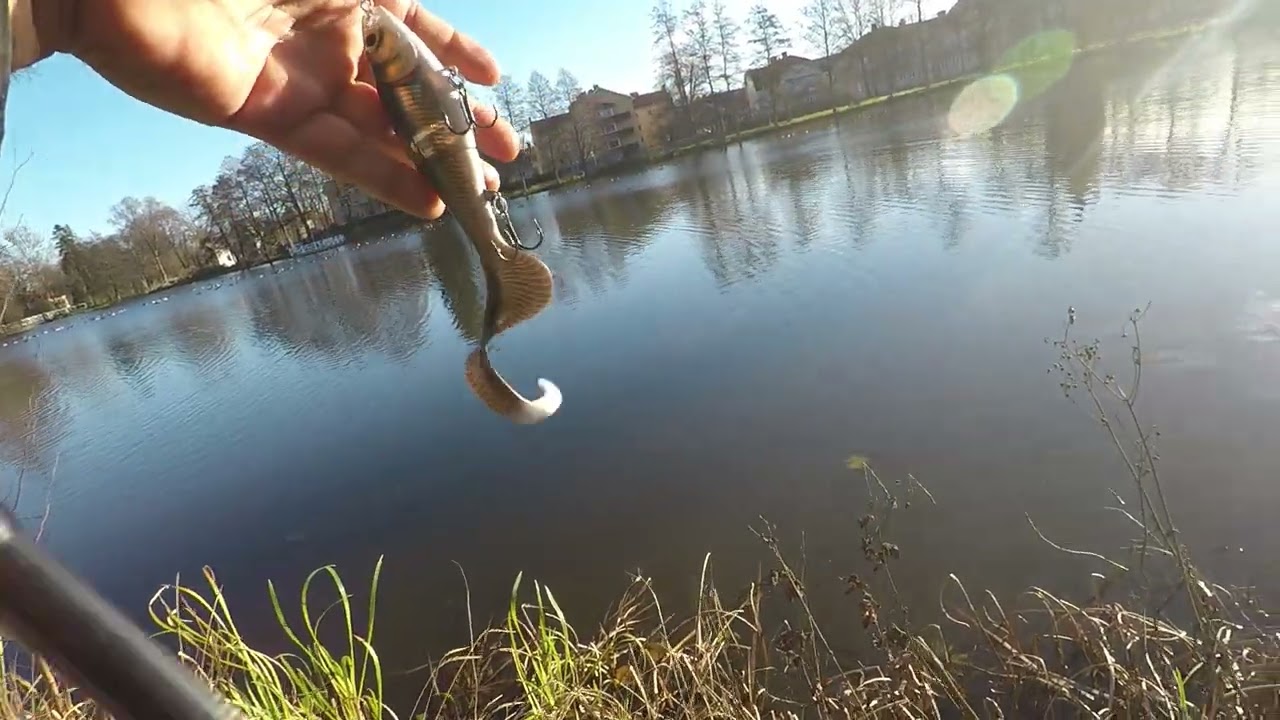 test Rapala X-Rap Otus