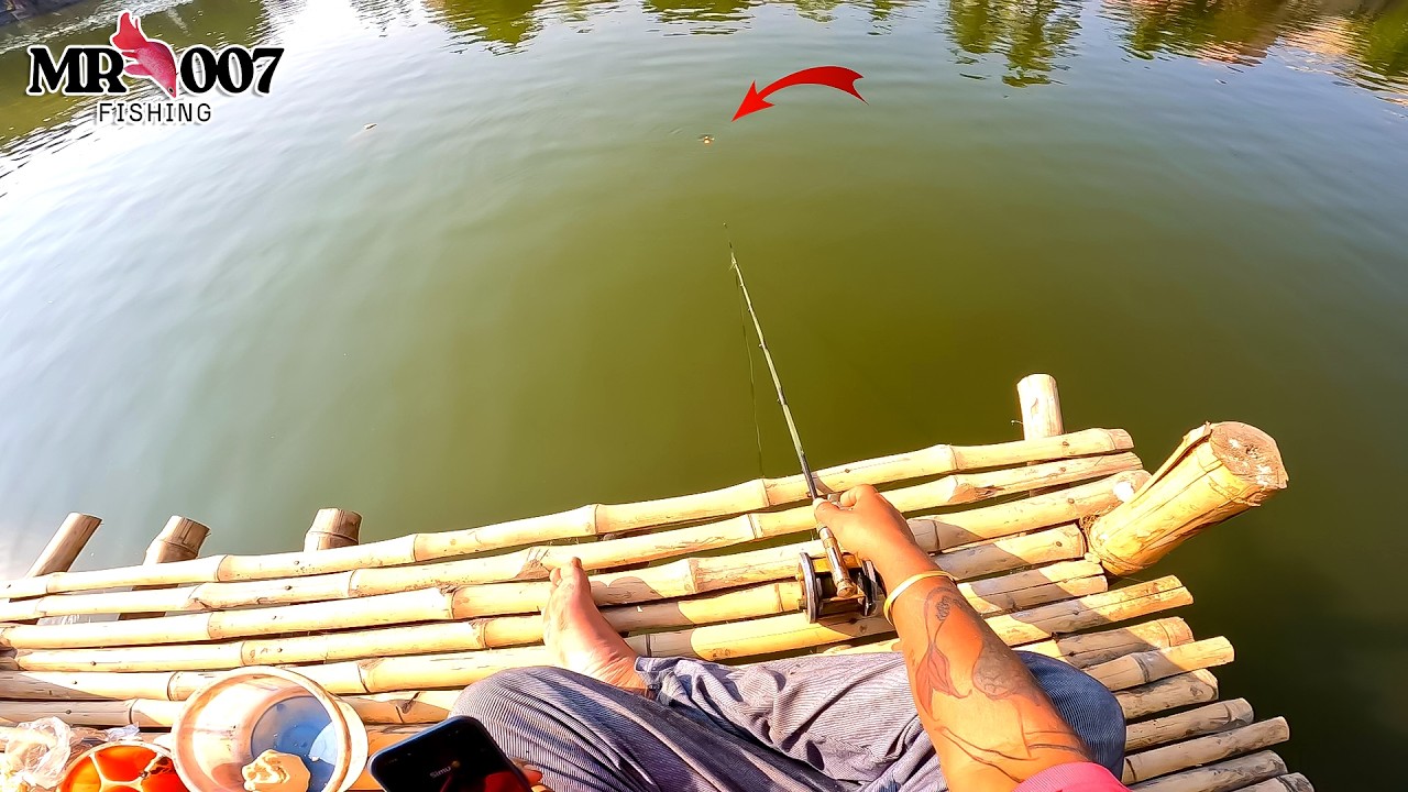 আজ ৩০০ টাকায় মাছ ধরলাম | Fishing Video |