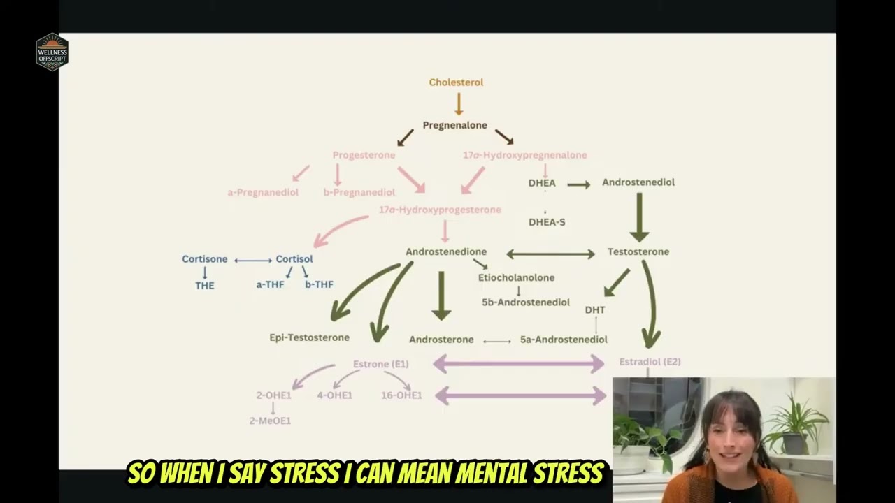 Cholesterol: The Unsung Hero of Hormones