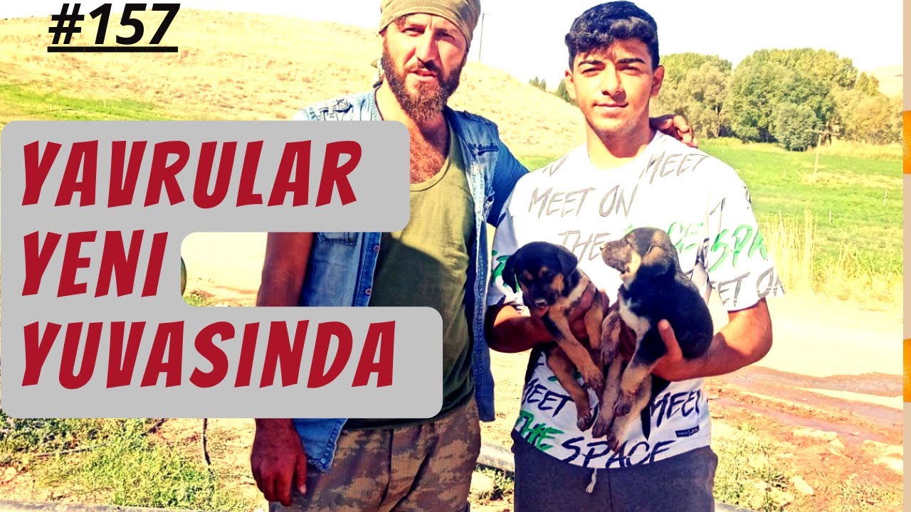 Yürüyerek Türkiye Turu | Travel on foot  | Ormanlar İçin Yürüyorum #81il81fidan #157