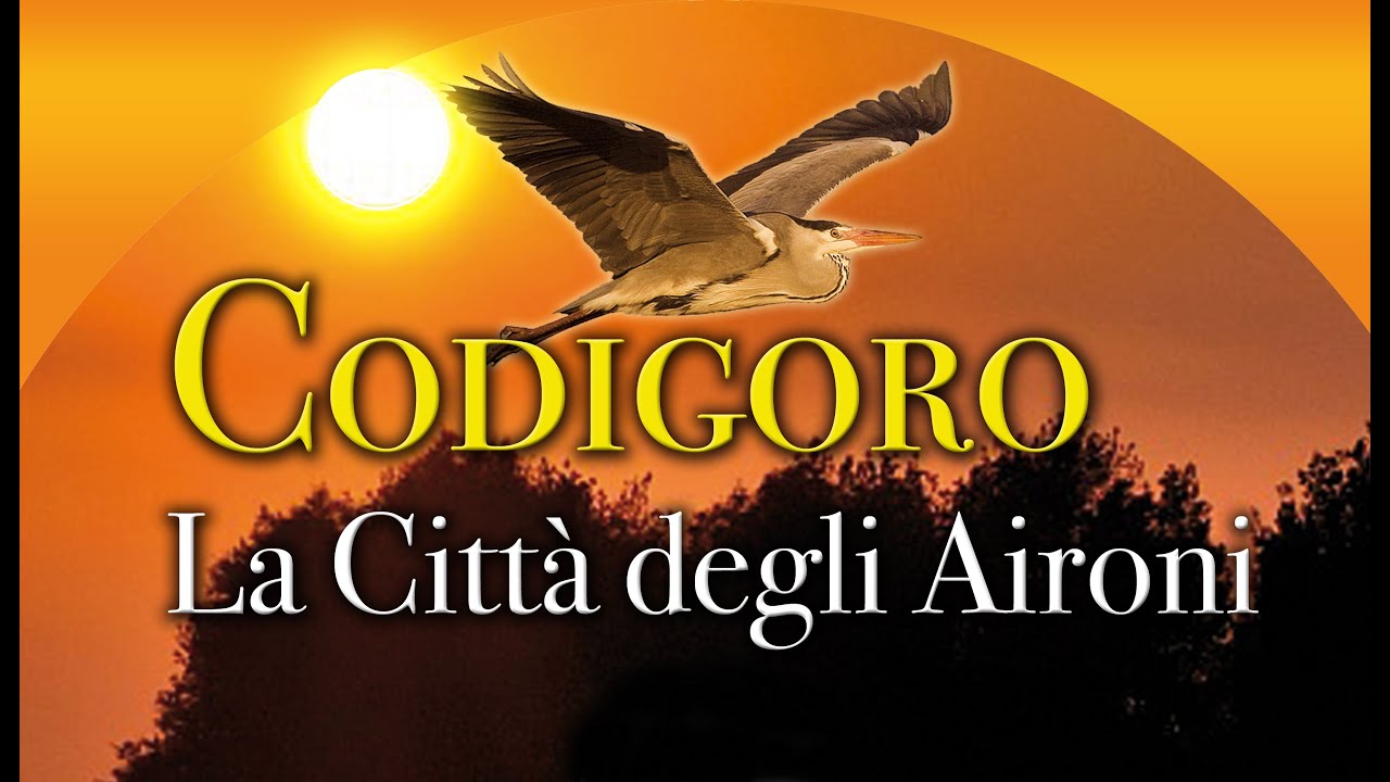 CODIGORO LA CITTA' DEGLI AIRONI