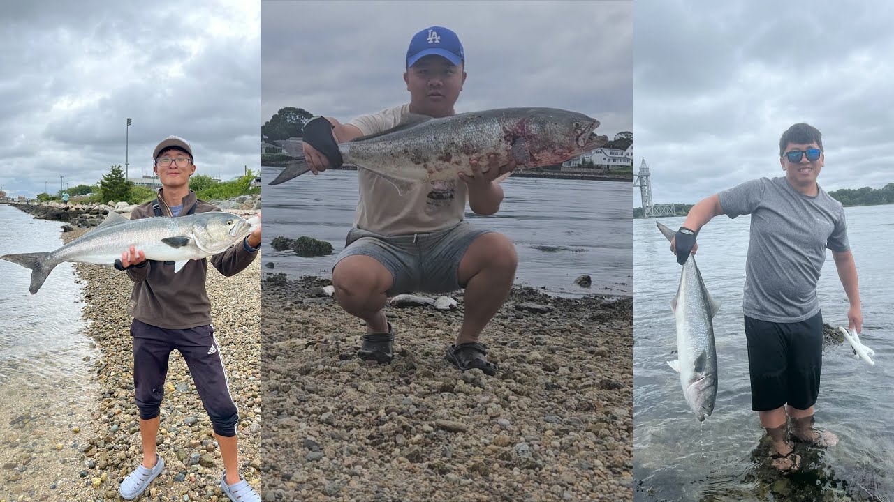 Fishing Big Bluefish's at Cape Cod Canal! 8/7