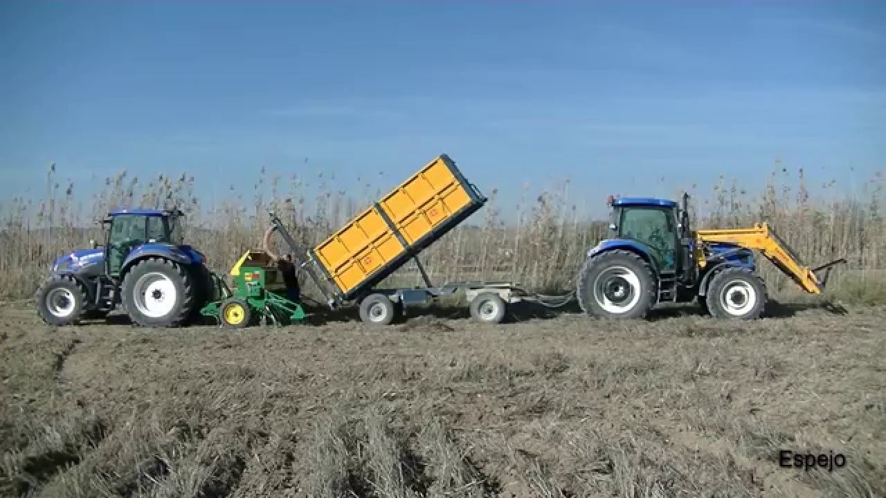 New Holland T5.115 E.C.+ Gil GT y New Holland Tsa 125+ Ferca// Siembra cereal