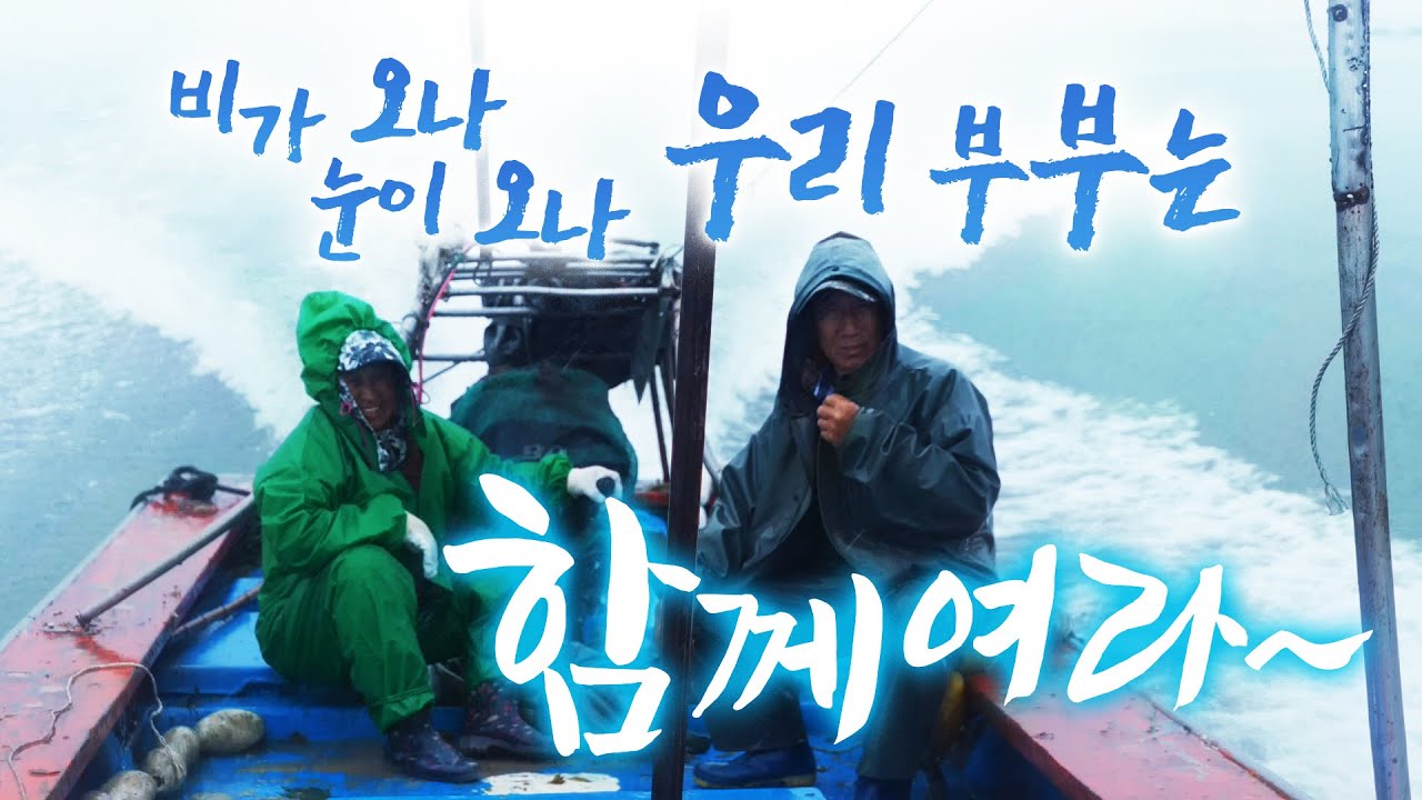 우리 마누라 배 운전 기똥찹니다 ㅎㅎ 이정도 비는 비도 아니에요 우리집 시골 밥상은 화려하지 않아도 맛은 기똥찹니다 ㅎㅎ #섬 #부부 #섬밥상 #외달도