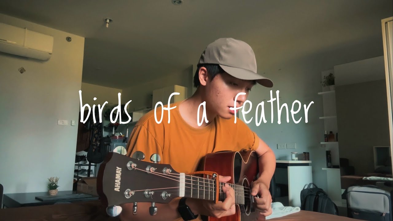 birds of a feather