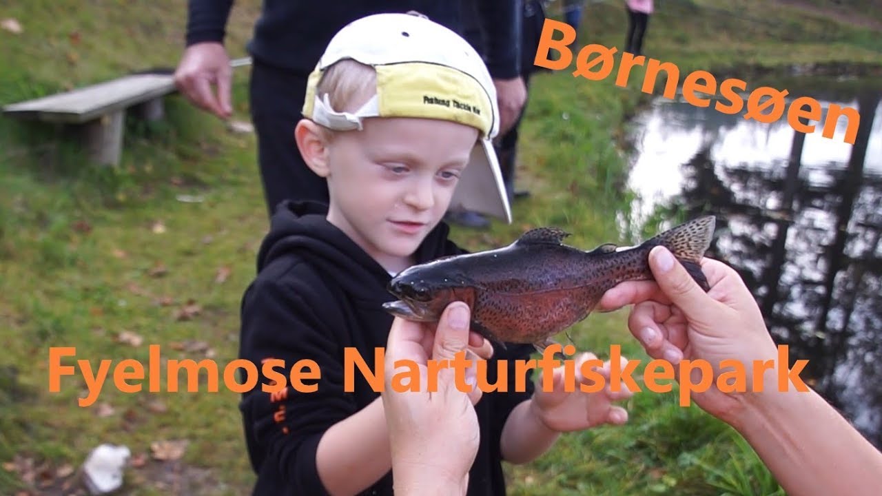 Fyelmose Naturfiskepark, Børnesøen med Filler