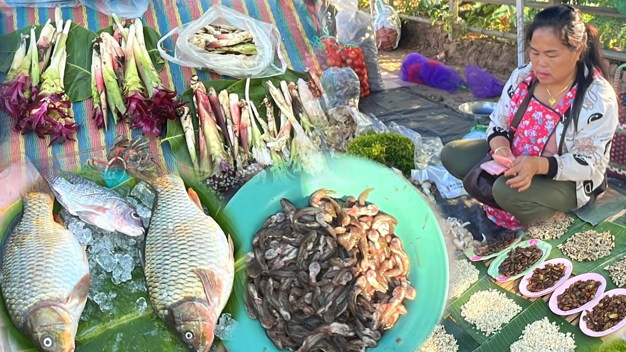 ดอกกระเจียว อาหารตามฤดูกาล #เที่ยวตลาดนัดไทย-ลาว บ้านหนาด จ.นครพนม คนหลายคักเต็มริมโขงเลย #ของป่า 