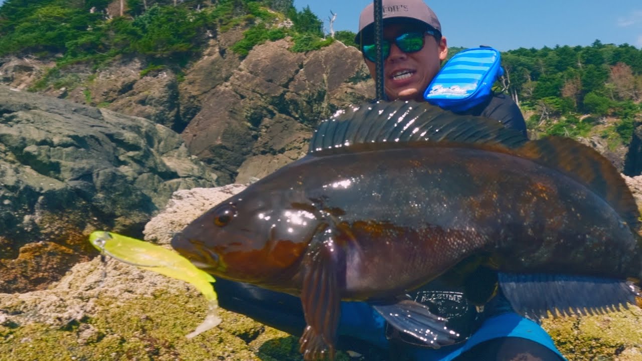 大型ロックフィッシュ5連発！ウェットスタイルで夏のロックフィッシュを狙ってみた！【ルーディーズ ハタ喰い魚子】