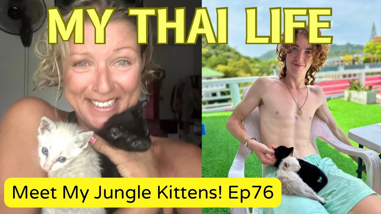 Cat Woman of Koh Tao + Other Stories: Gone Mad?! Ep76 ‘ My Thai Life' 4K