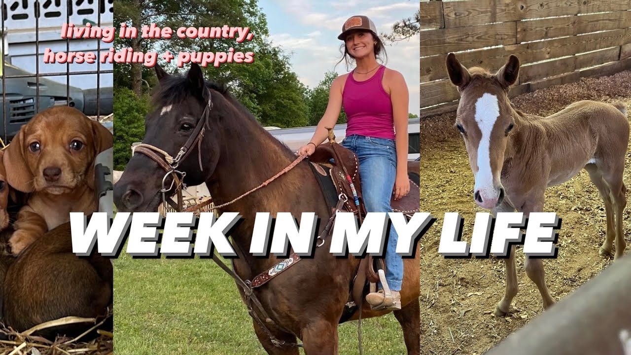 WEEK IN MY LIFE PREPARING FOR A BARREL RACE: horse riding, getting hunny shoed, & bridal trials