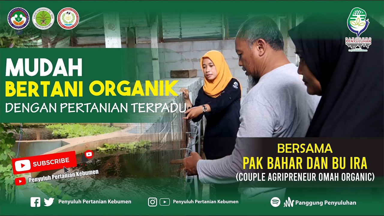 Bertani ORGANIK itu MUDAH dengan PERTANIAN TERPADU Bersama OMAH ORGANIC
